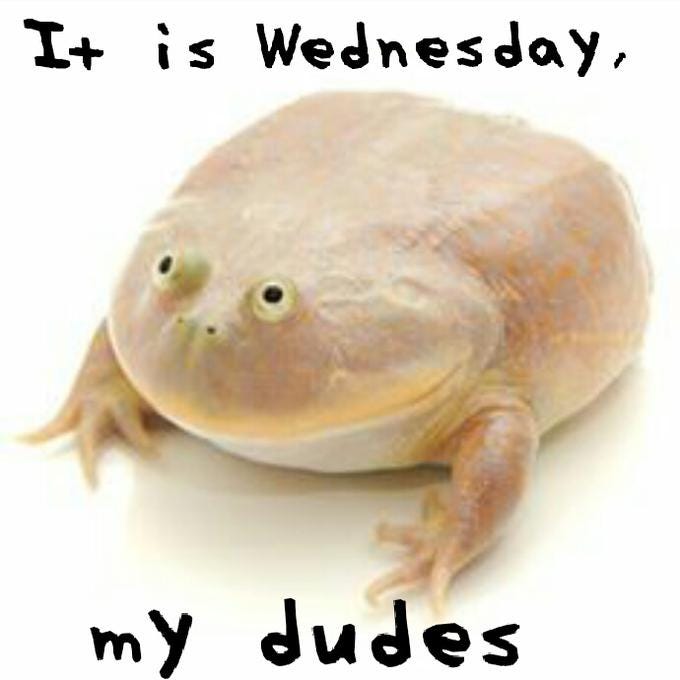 It is Wednesday my dudes