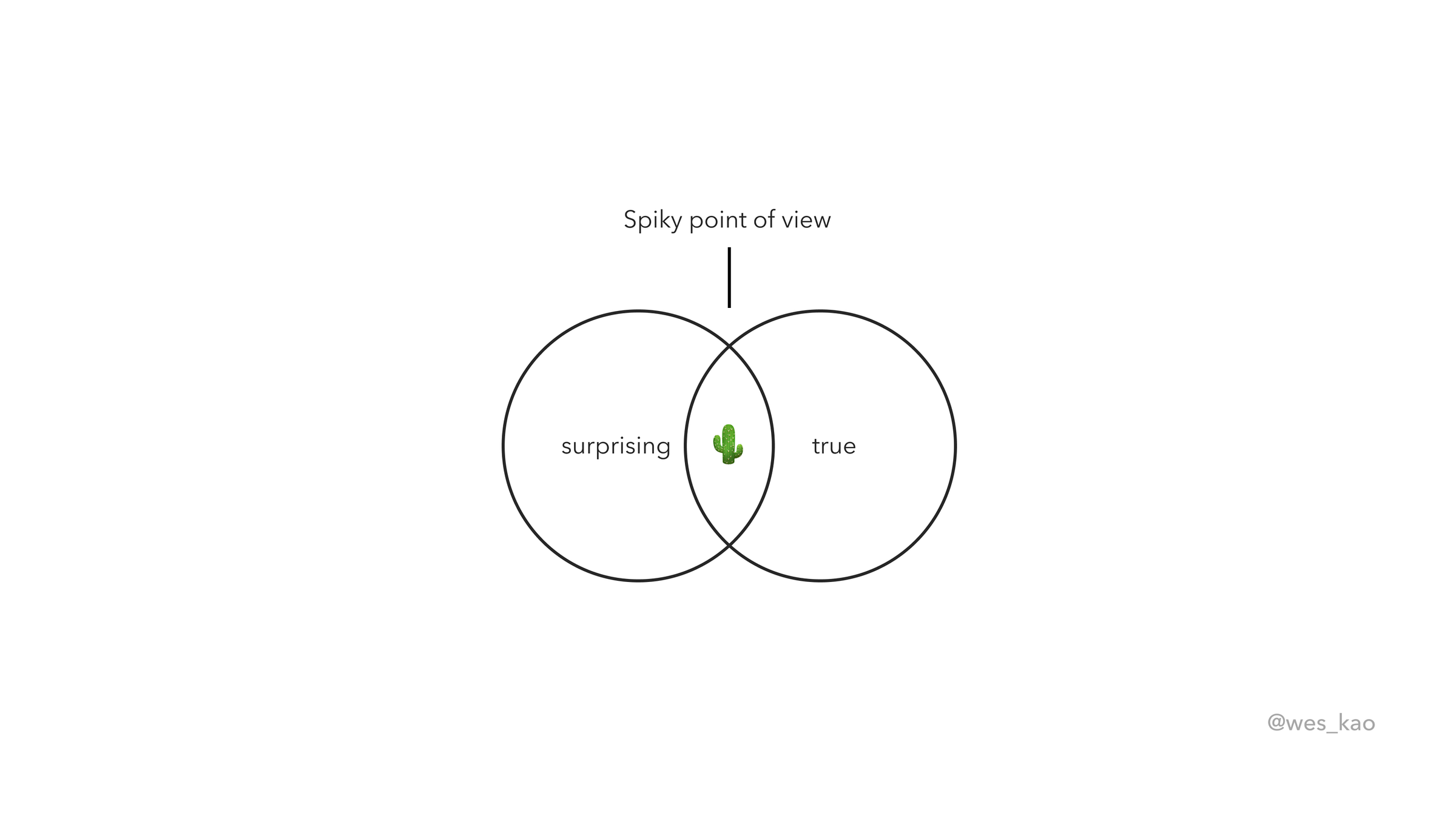 Wes Kao_spiky point of view.png