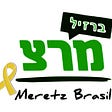 Meretz Brasil's avatar