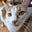 meoww's avatar