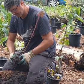 What Are Tiny Forests & Why Is Everyone Planting Them?