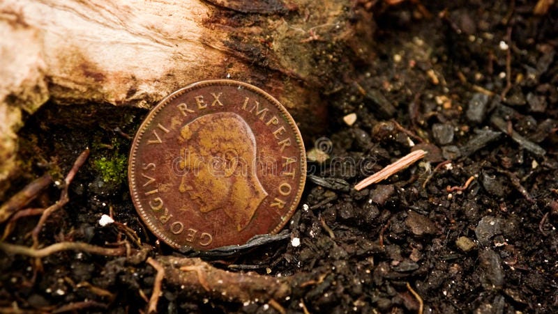 A bronze coin with Latin writing on it, head side up, propped against a mossy log.