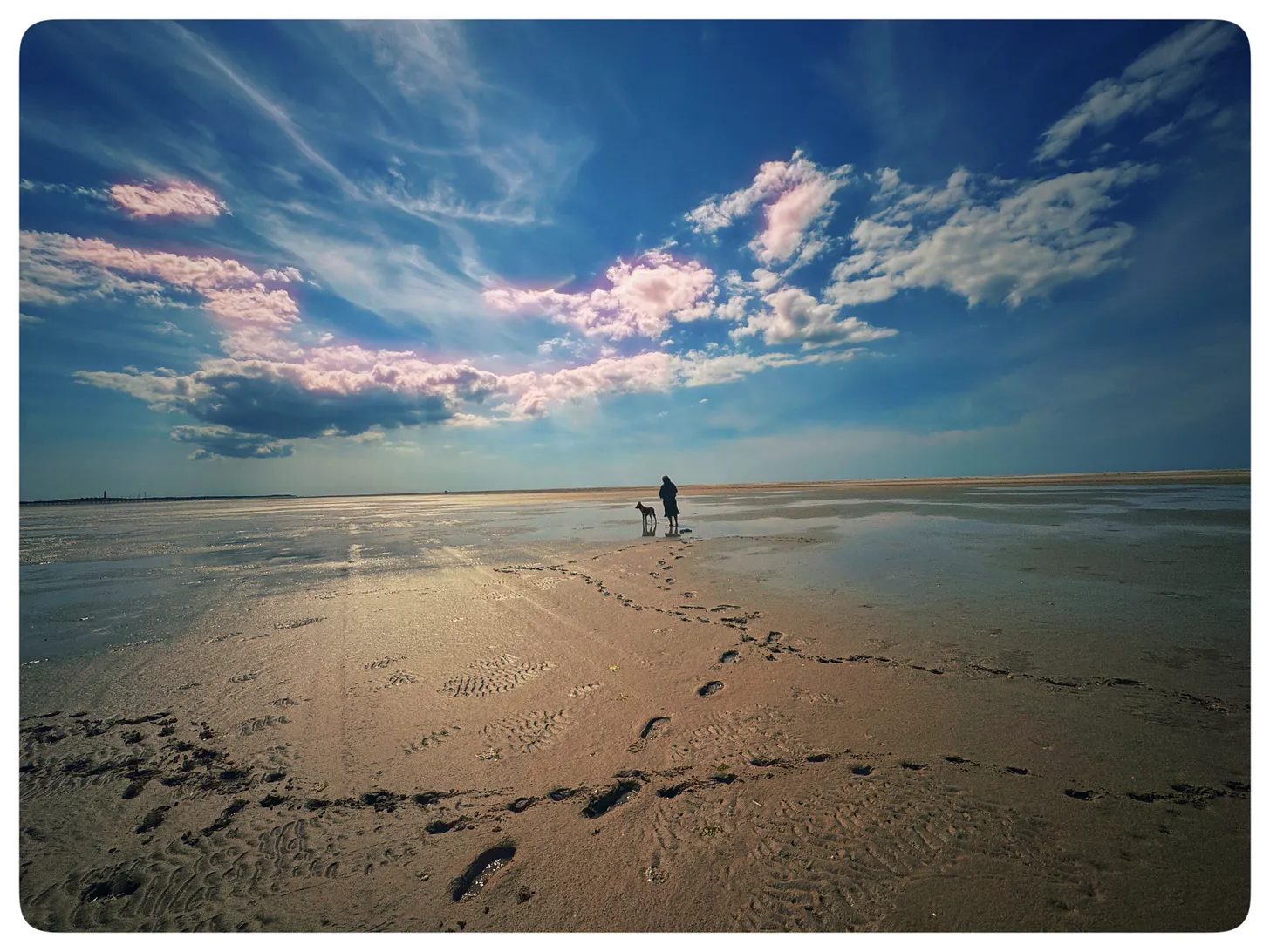 Bojan met zijn hond Max op het strand van Vlieland