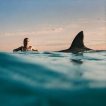 On the water's surface, a large shark fin approaches a woman.