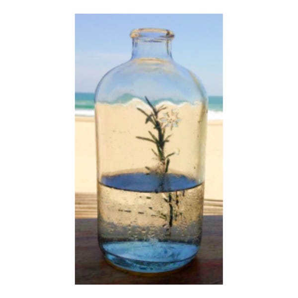 (Mis) Adventures in a Writing Life