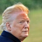 a non-exhaustive round-up of trump's insane behaviour lately