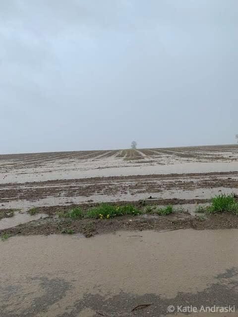 A barren, rocky landscape under a cloudy sky with sparse vegetation.