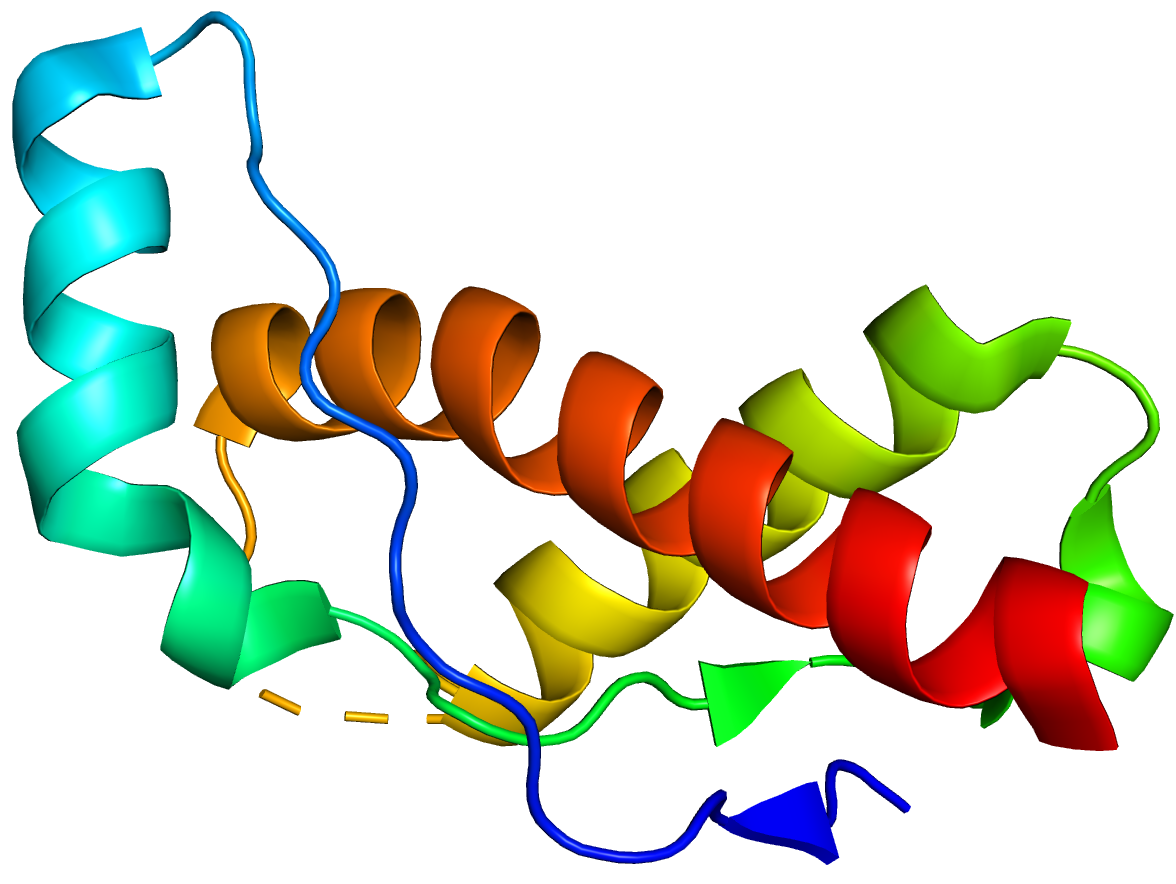 Prion - Wikipedia