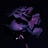 Tales From a Wilted Rose