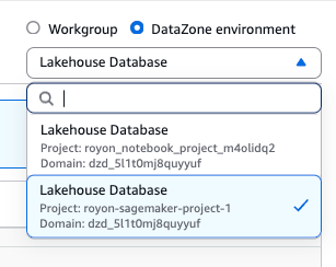 Athena workgroup / DataZone environment switcher