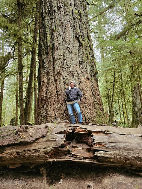 Me and some big trees Cathedral Grove Forest Vancouver Island, Becca at dads jam session, Becca and I on Rathtrevor beach 