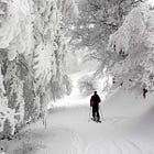❄️ Llega el frío (y la montaña cambia de piel)