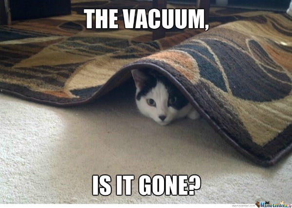 Catster Quiz: Is Your Cat a Scaredy Cat? - Catster