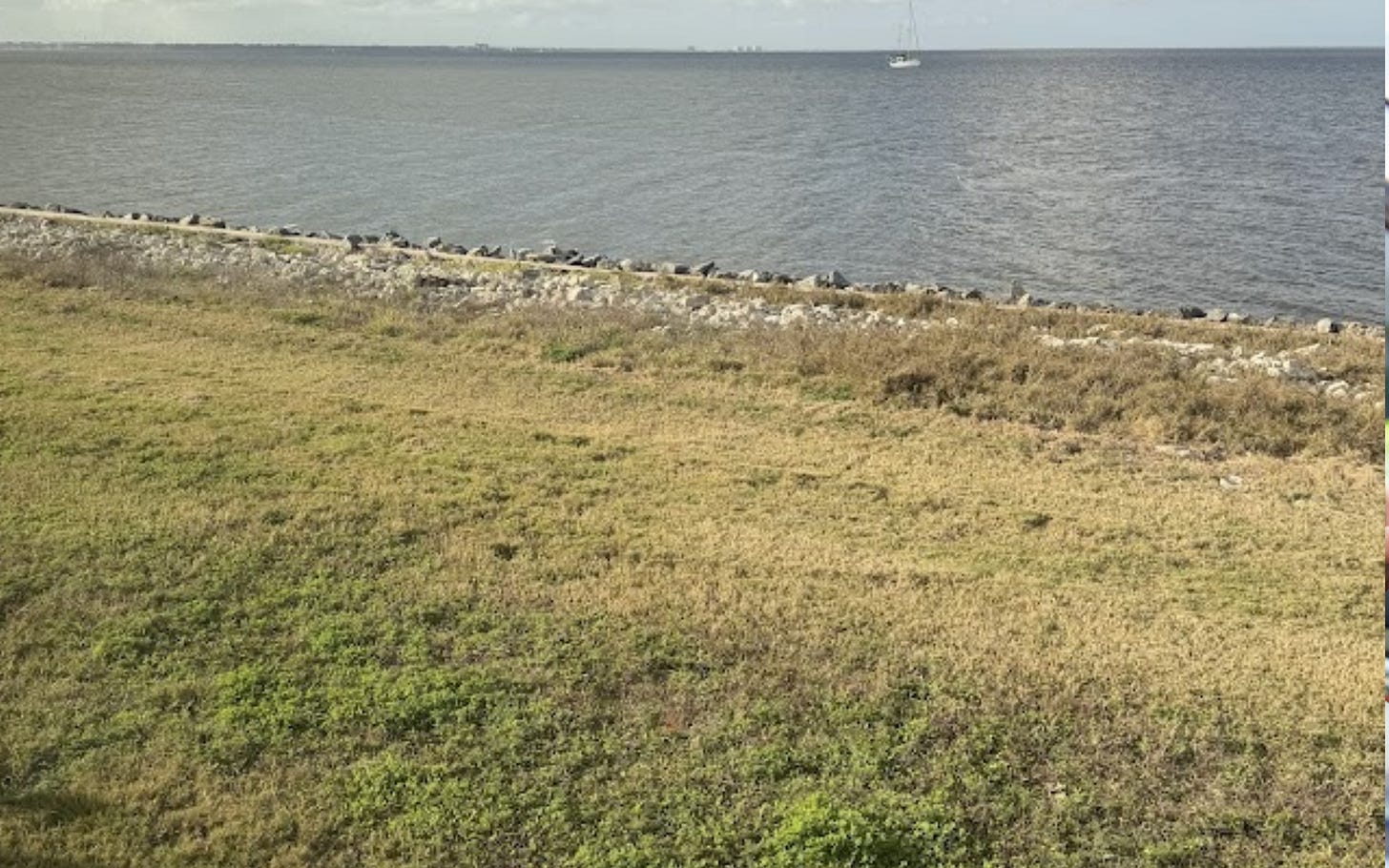 A strip of grass in front of a rocky shoreline.