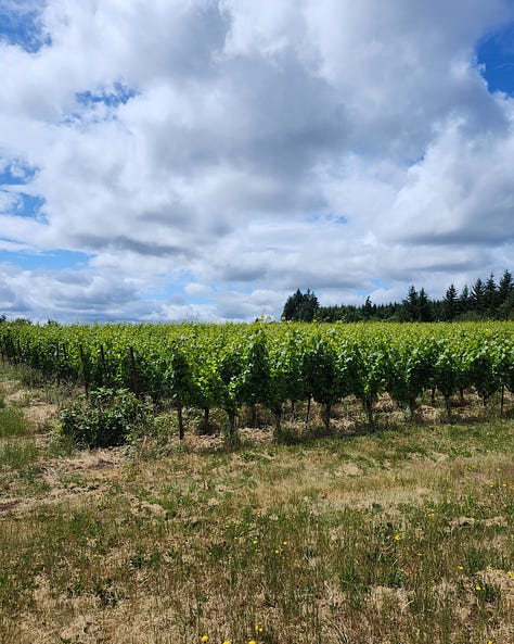 Photos of a Yamhill-Carlton Winery, cherry trees, hazelnuts, and an Oregon winemaker