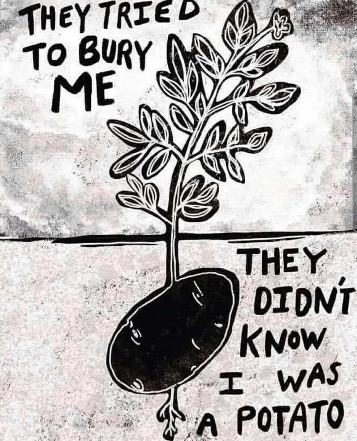 They tried to bury me - they didn't know I was a potato