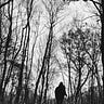 Out In The Woods