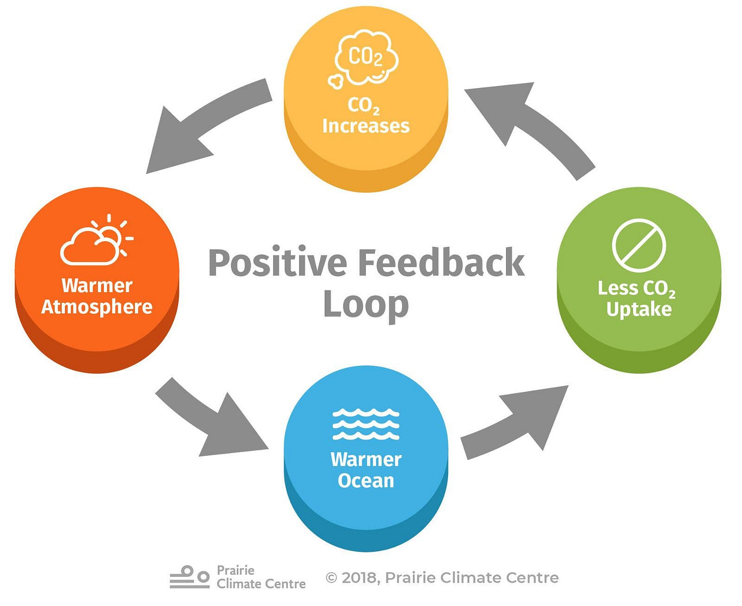Notes for D4.3.2 Positive feedback cycles in global warming - IB |  RevisionDojo