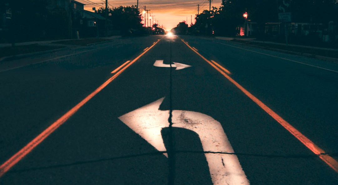 highway near trees during golden hour