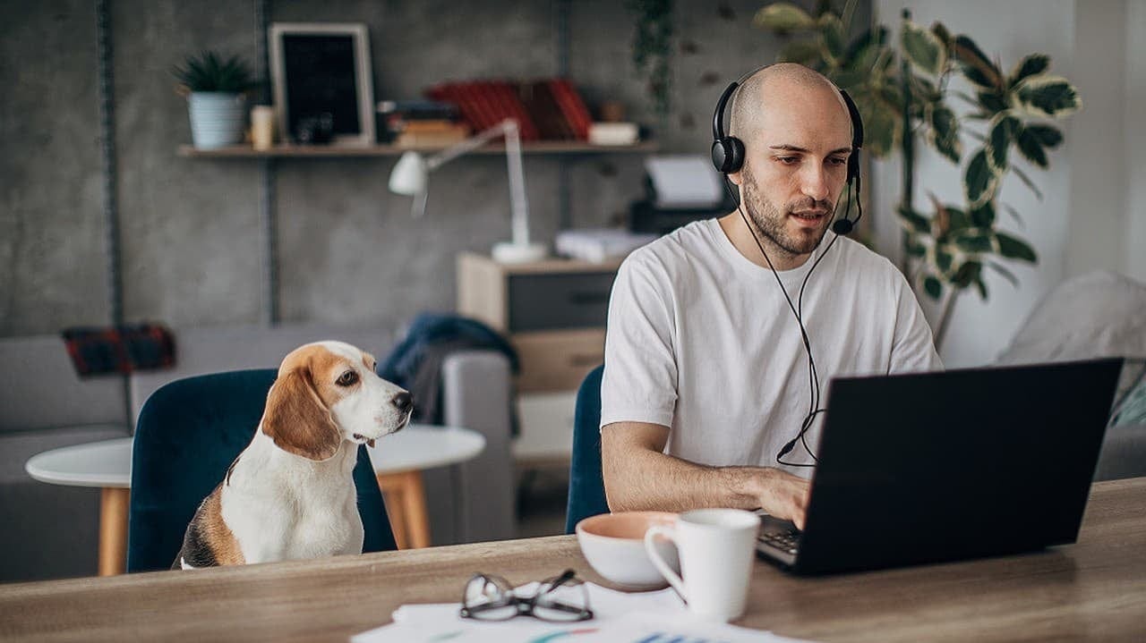 Home office preferuje 8 % Slovákov: Prečo už nechceme pracovať len z domu |  Nový Čas
