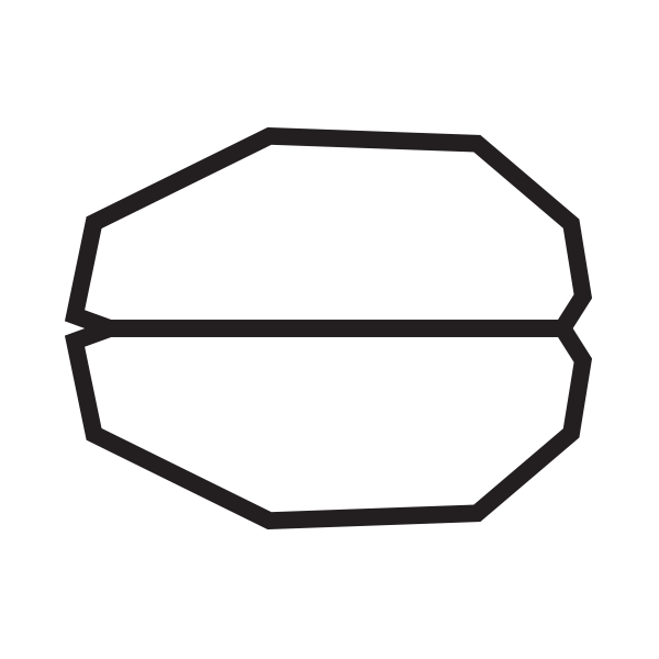 The BrainSpin Method