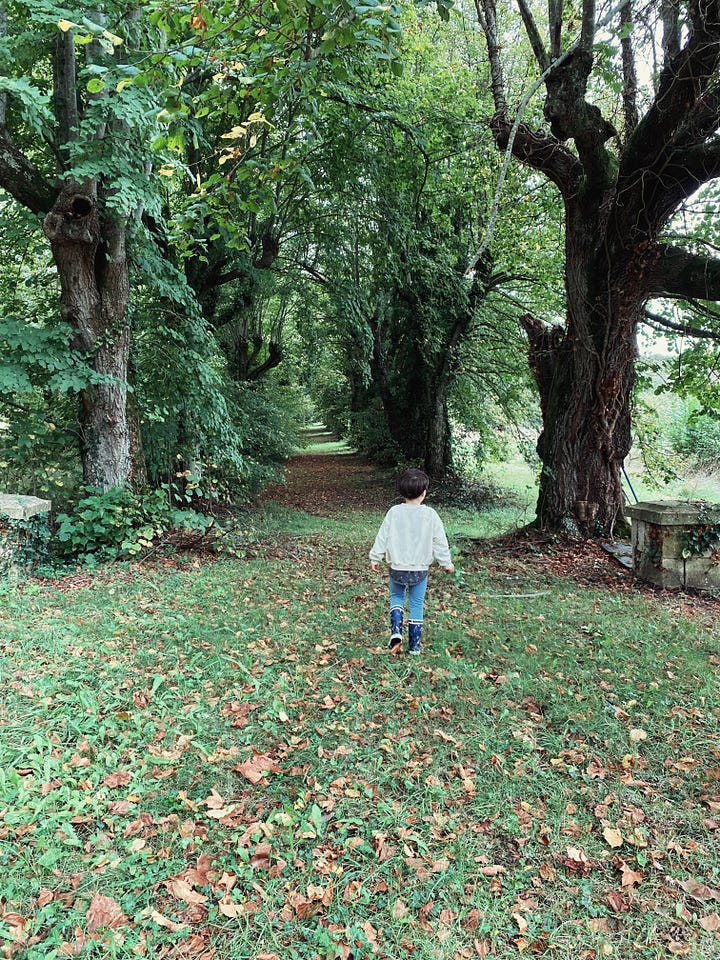 A collage of the grounds around the rented farmhouse, including an iron gate set into an ivy-covered stone wall, a garden path, a courtyard strung with bunting at dusk, two small children watching a rainbow from a doorway, pink cyclamen carpeting the ground beneath a large tree, and children walking down tree-lined country paths.