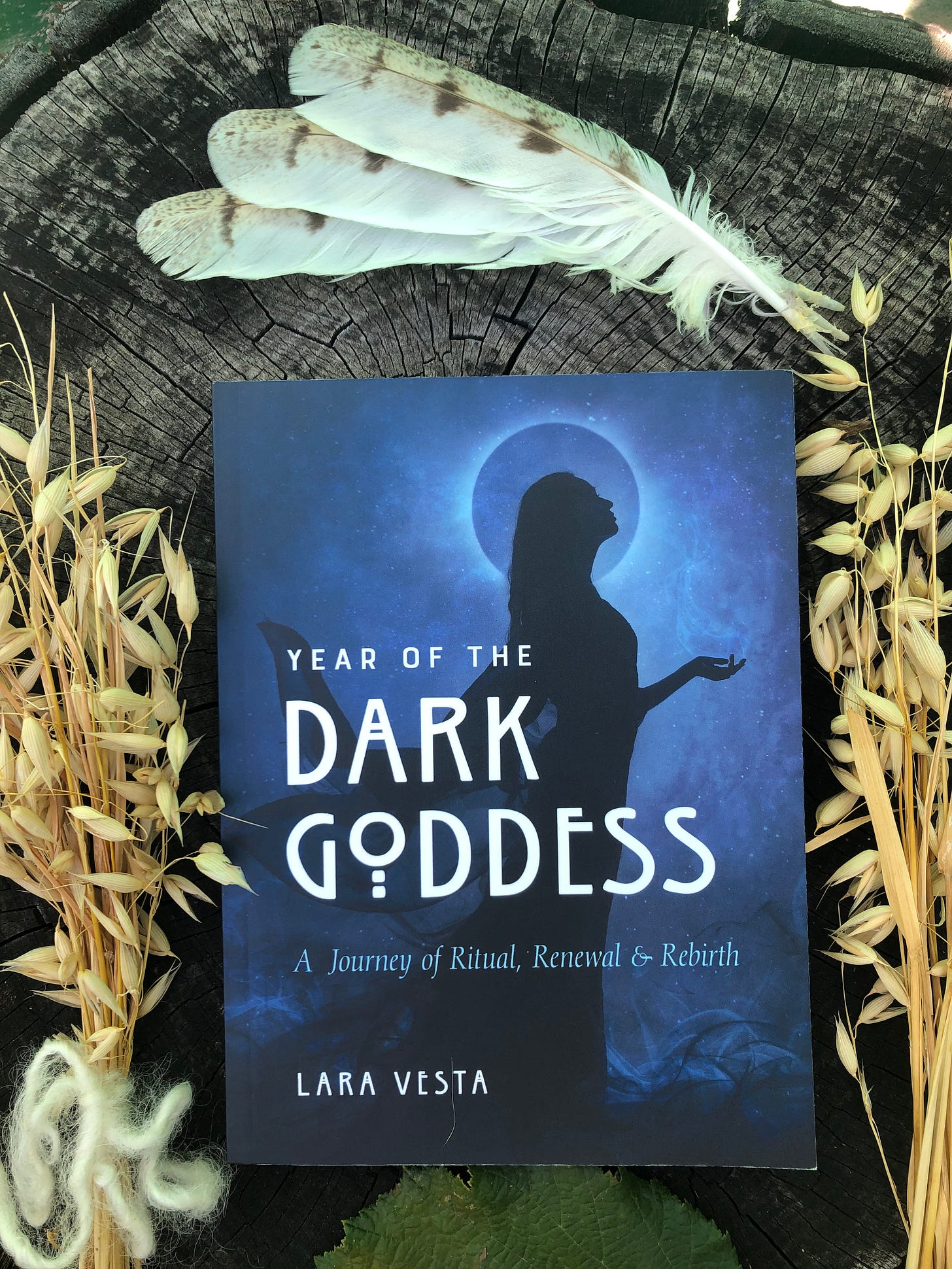 Year of the Dark Goddess Book