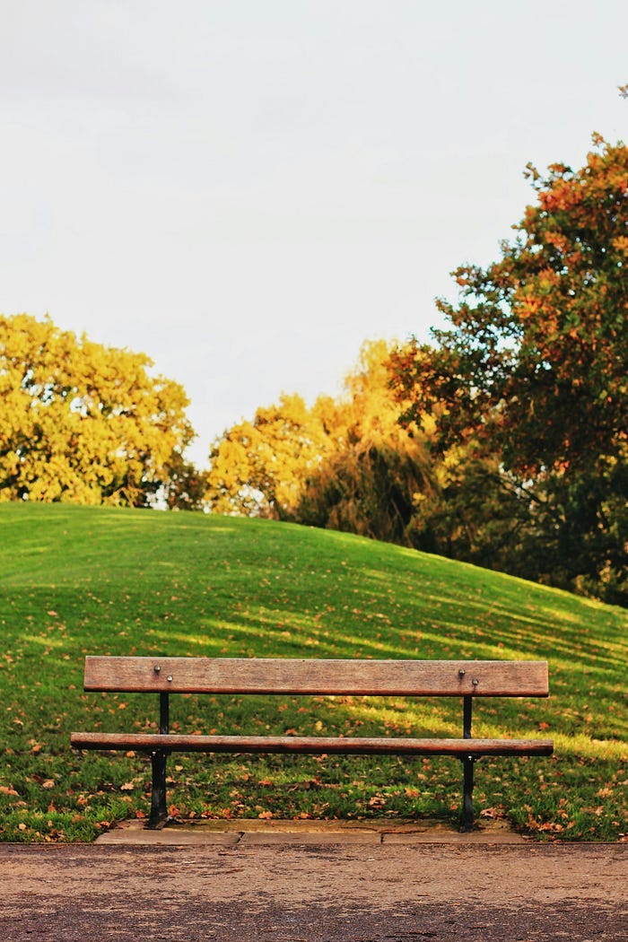 A simple wooden park bench in a shady green park. A simple wooden park bench in a shady green park.