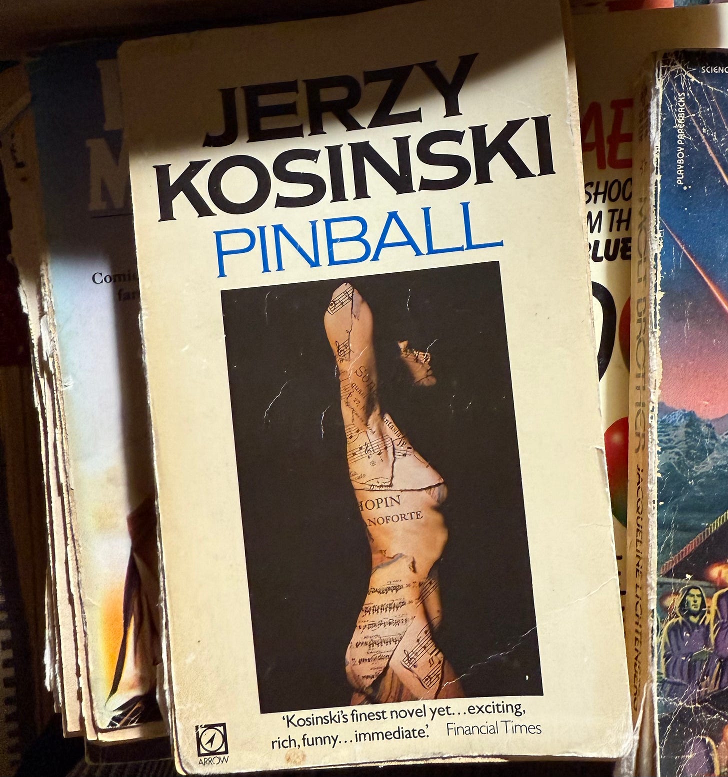 cover of Pinball by Jerzy Kosinski