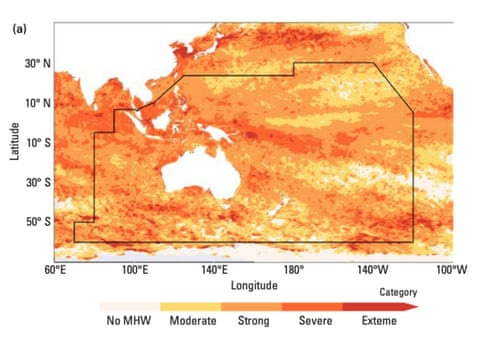 A map showing areas affected by marine heatwaves in 2024