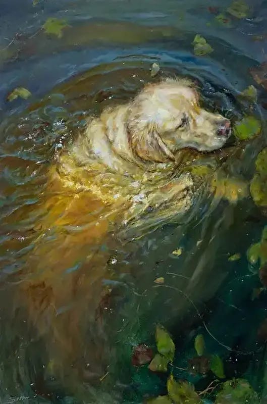 Image 6287907 Image 6287907