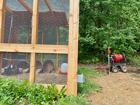 Mosaic of images showing trenches for water lines and ducks living in a coop.