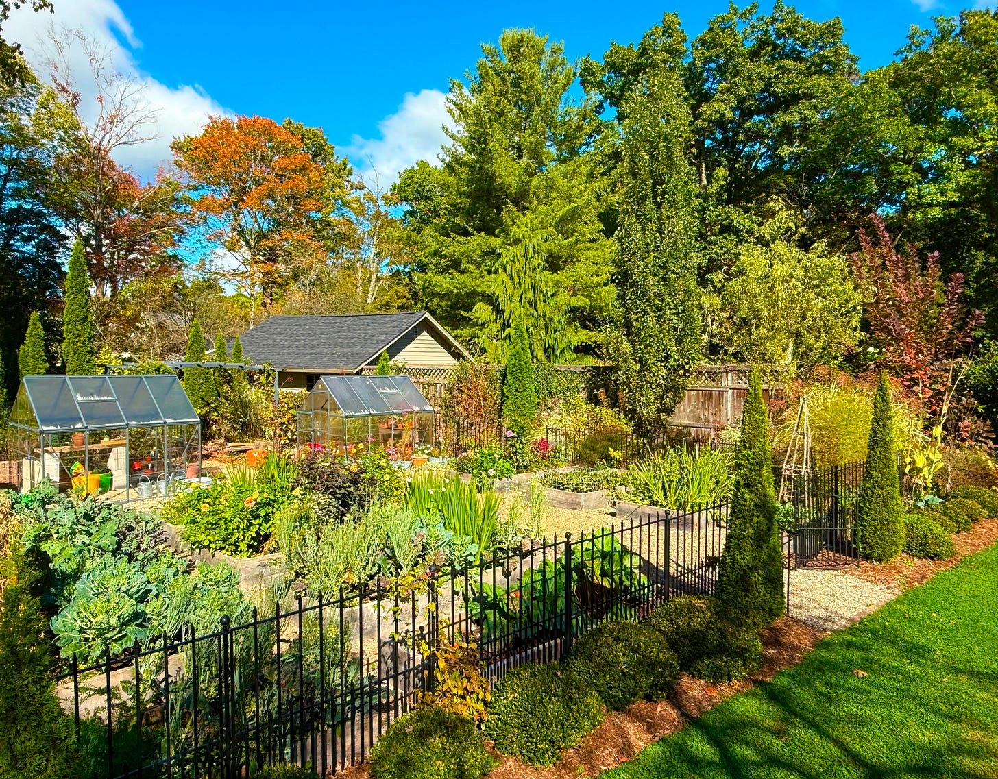 The Kitchen Garden this week at Havenwood, still full to the brim.