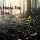 Voices from the Burn Zone