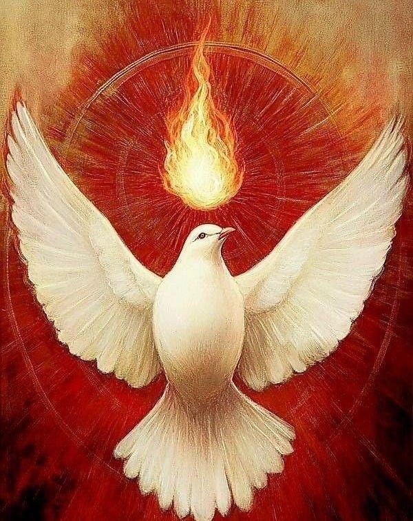 This may contain: a white dove with its wings spread out in front of a red and yellow background