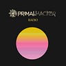 Primalhacker’s Substack