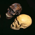 Anthropology.net