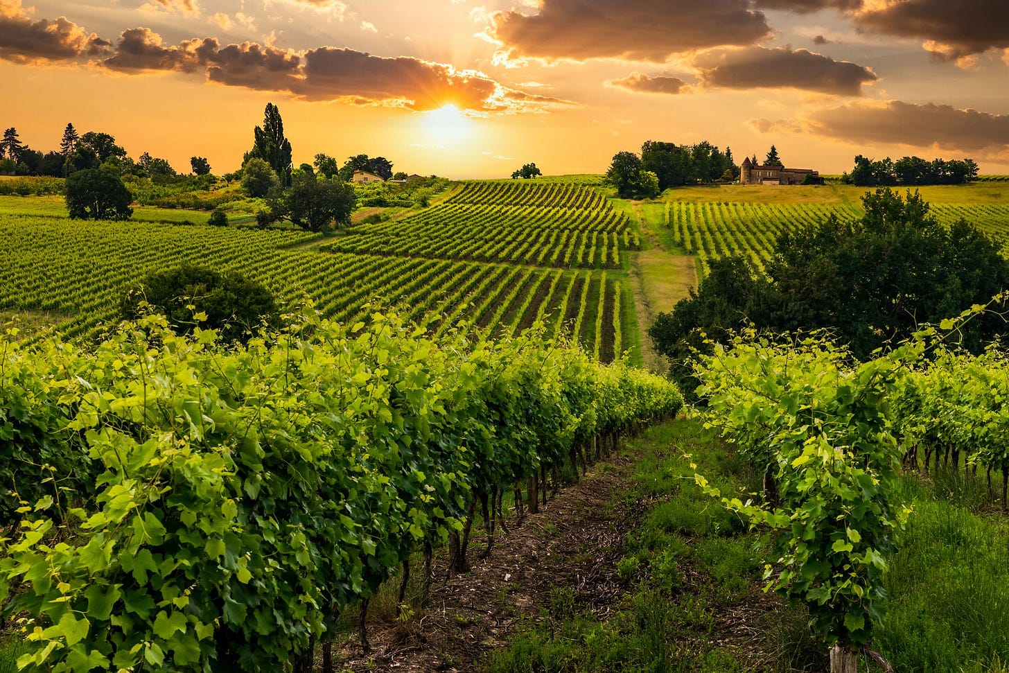 11 of the Most Beautiful Vineyards Around the World to Visit