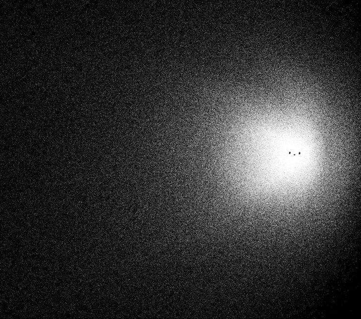 Harvesting New Low’s