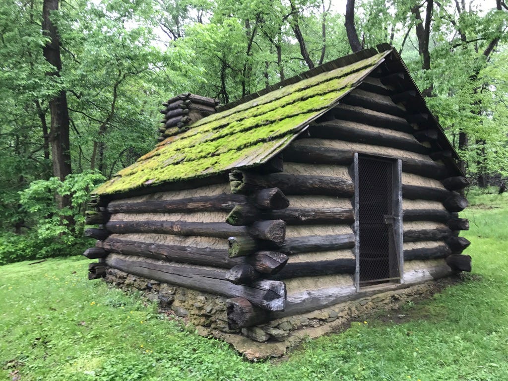 moss covered log cabin