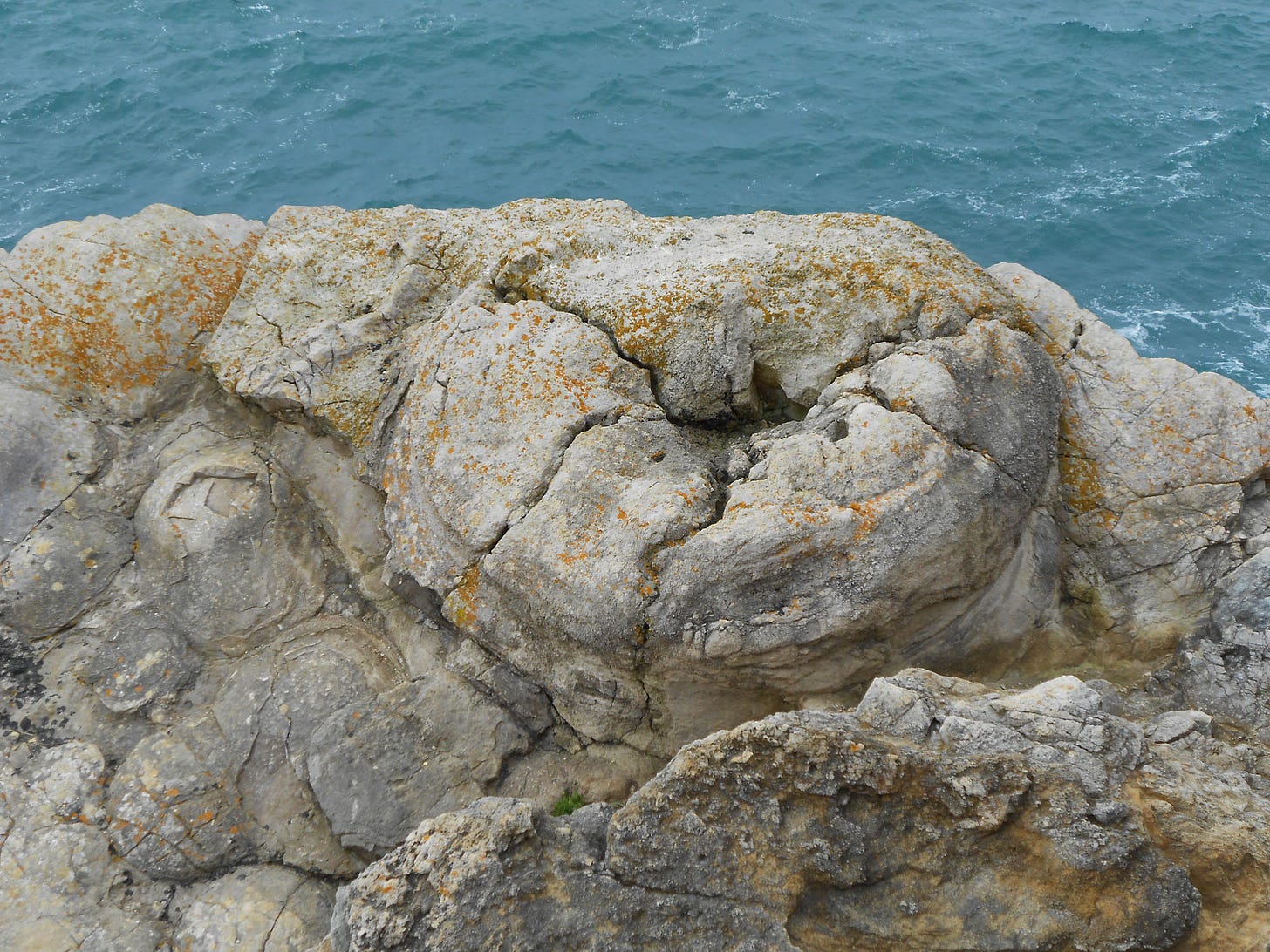 rock ring with central hole representing embedded tree trunk