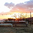 Dinner on the move - a meal in six places