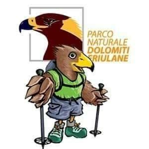 Artwork for Parco Naturale Dolomiti Friulane