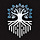 Systemic newsletter  