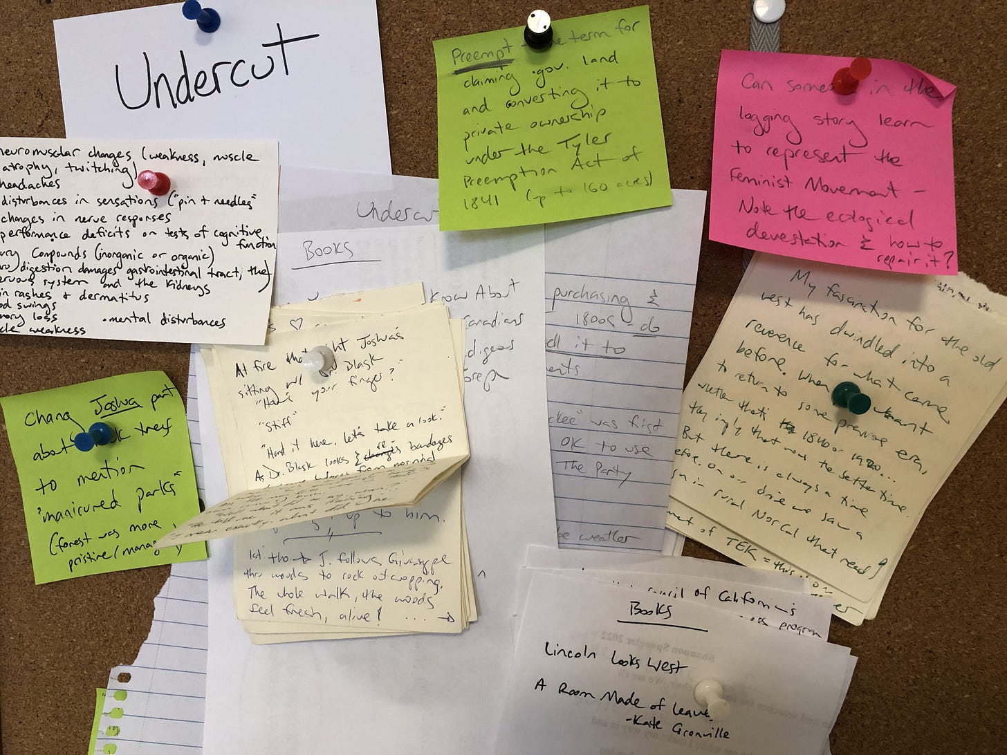 My corkboard of notes