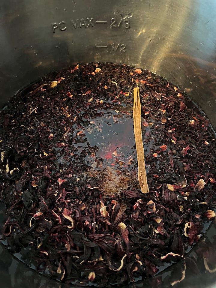 Hibiscus Tea concentrate, with cinnamon, orange peel, and ice.