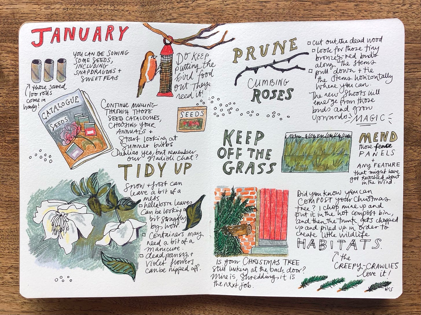 a page from an illustrated journal with flowers, birds and plants