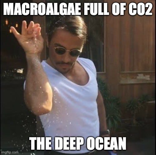 Salt Bae sprinkling salt from a raised hand. Top text: "MACROALGAE FULL OF CO2". Bottom text: "THE DEEP OCEAN"