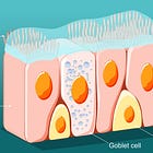 The Fortress Within.....