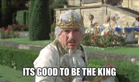 Image tagged in mel brooks good to be the king - Imgflip
